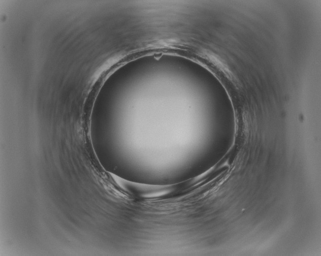 X0000076271308200609281155