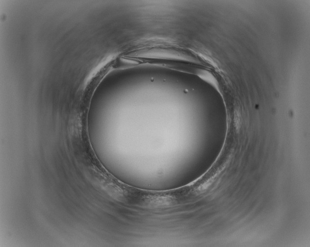 X0000076271309200609281155