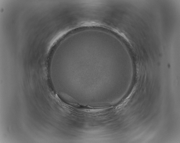 X0000076271311200609281155