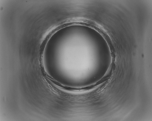 X0000076271312200609281155