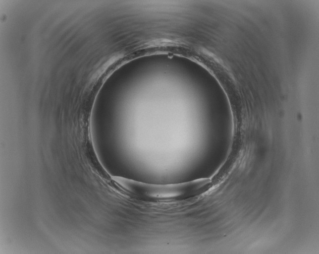 X0000076271313200609281155