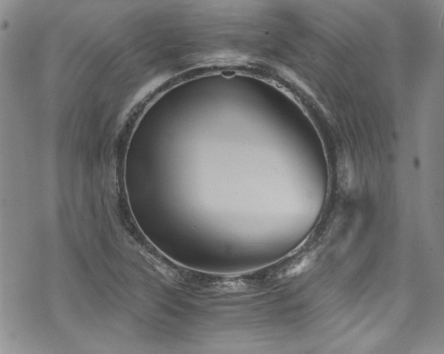 X0000076271315200609281155