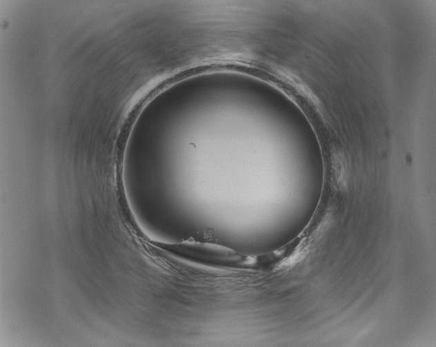 X0000076271316200609281155