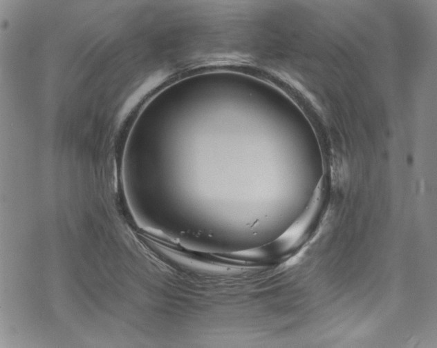 X0000076271317200609281155