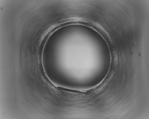 X0000076271318200609281155