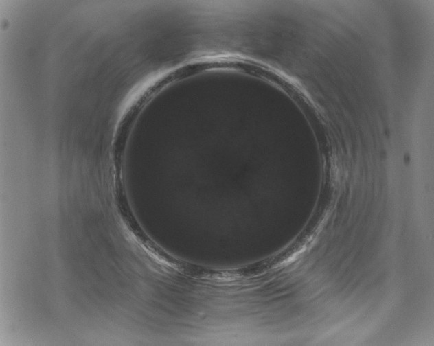 X0000076271319200609281155