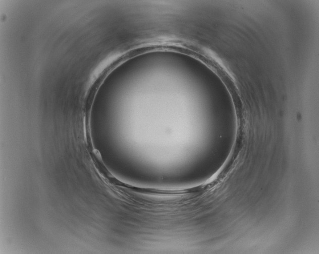 X0000076271320200609281155