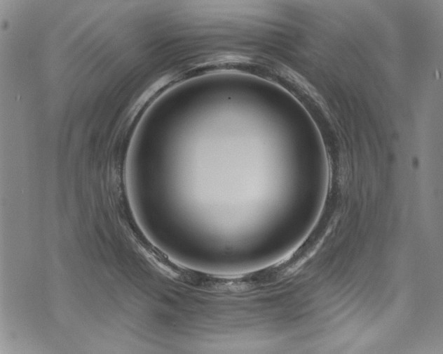 X0000076271321200609281155