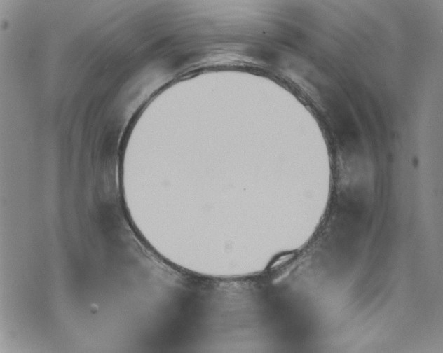 X0000076271322200609281155