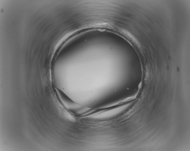 X0000076271324200609281155