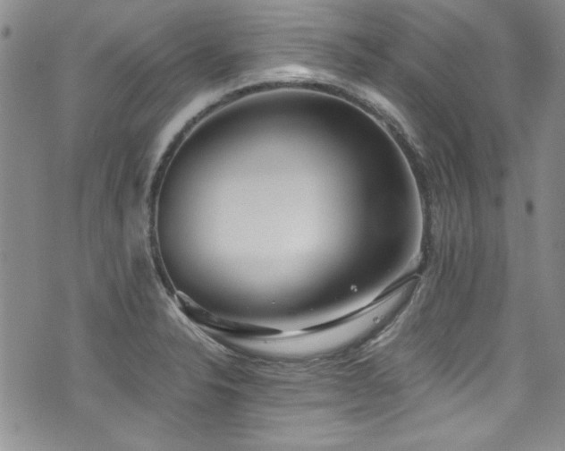 X0000076271326200609281155