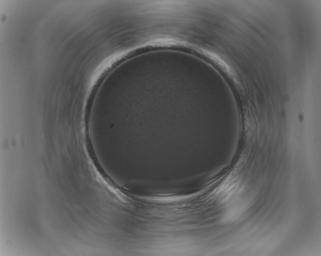 X0000076271327200609281155