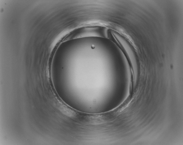 X0000076271328200609281155