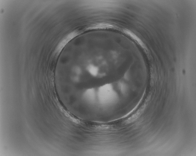 X0000076271329200609281156