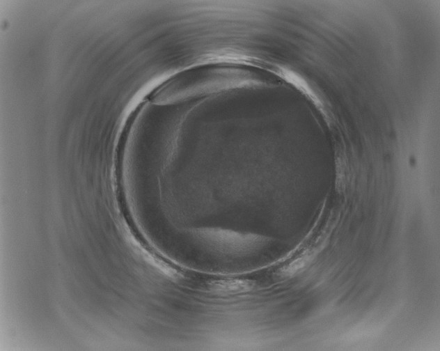 X0000076271331200609281156