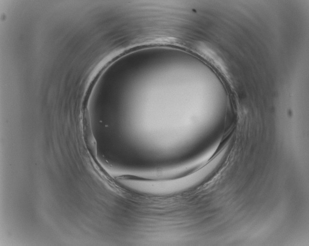 X0000076271332200609281156