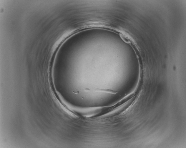 X0000076271333200609281156