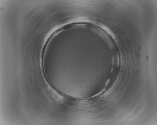 X0000076271334200609281156