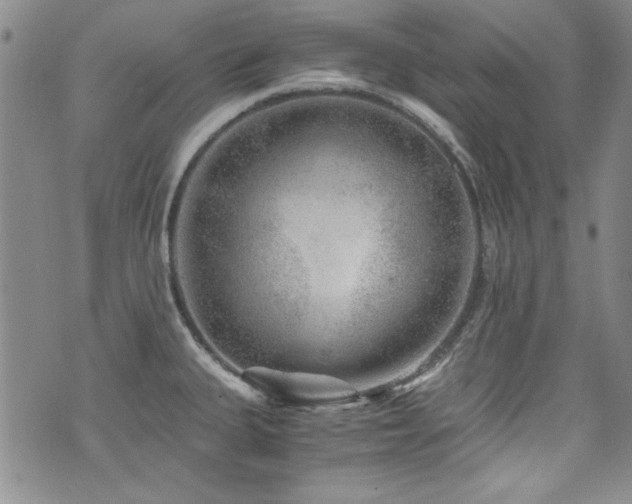 X0000076271335200609281156