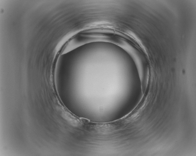 X0000076271336200609281156