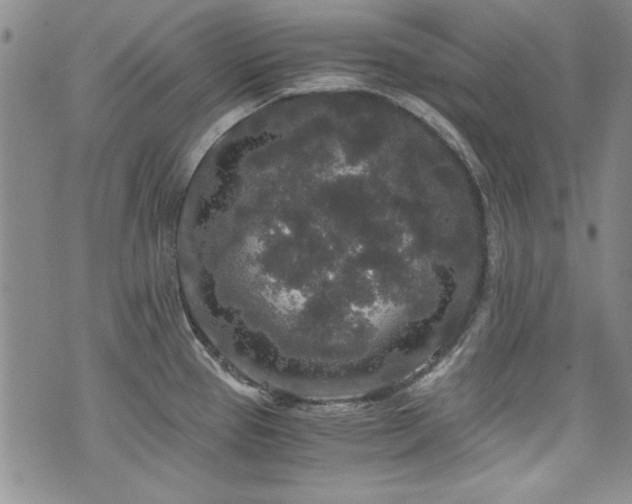 X0000076271337200609281156