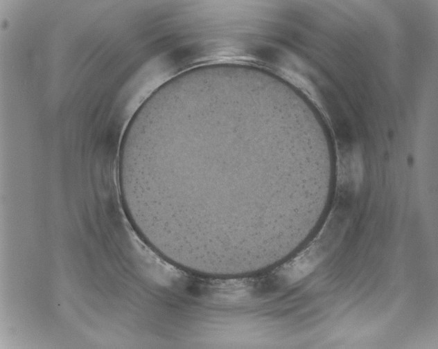 X0000076271338200609281156