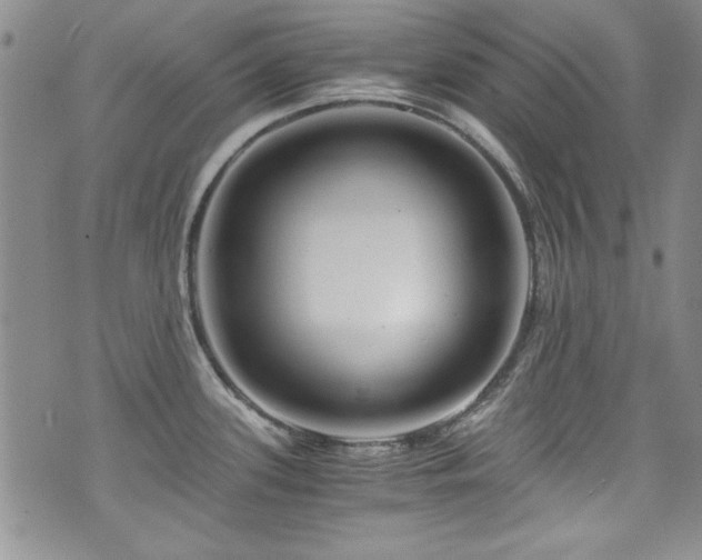 X0000076271339200609281156