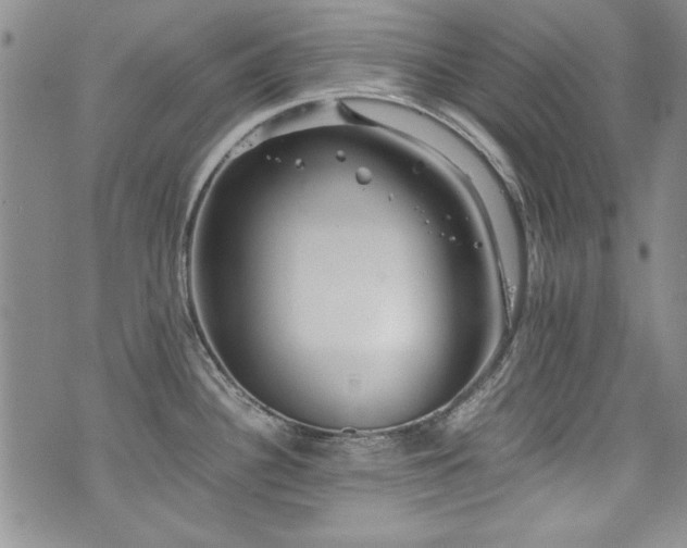 X0000076271340200609281156