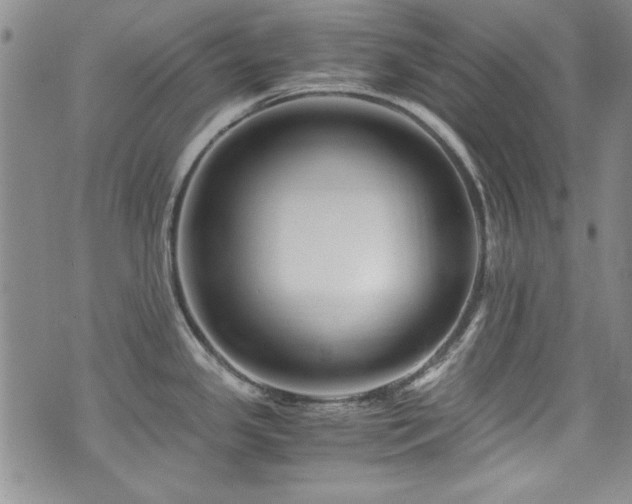 X0000076271341200609281156