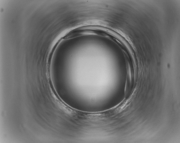 X0000076271342200609281156