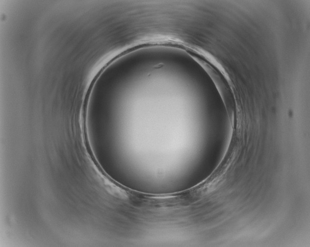 X0000076271343200609281156