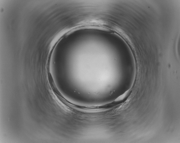 X0000076271344200609281156