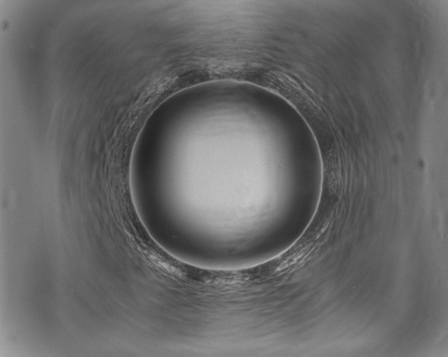 X0000076271345200609281155