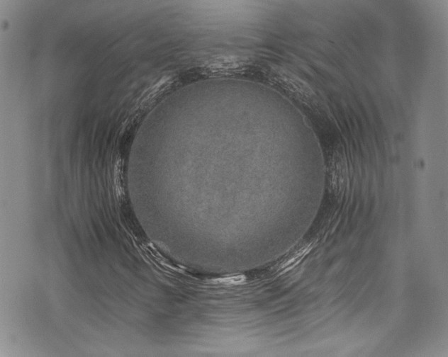 X0000076271346200609281155