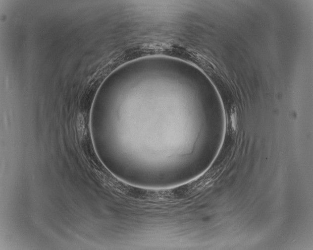 X0000076271347200609281155