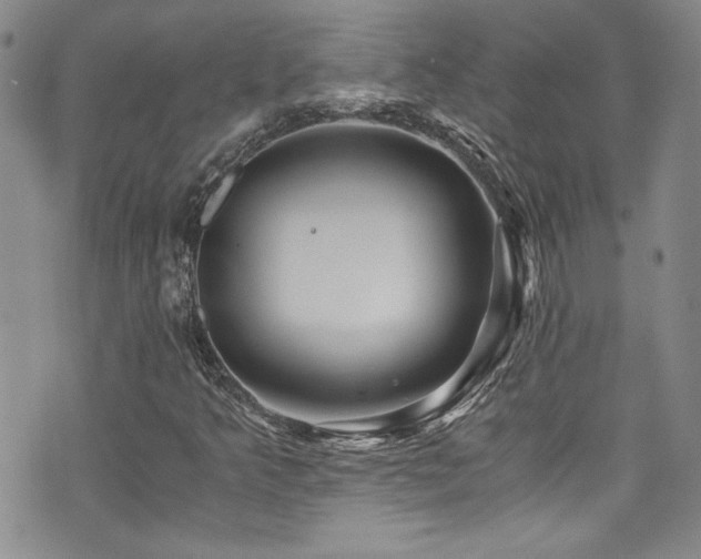 X0000076271349200609281155