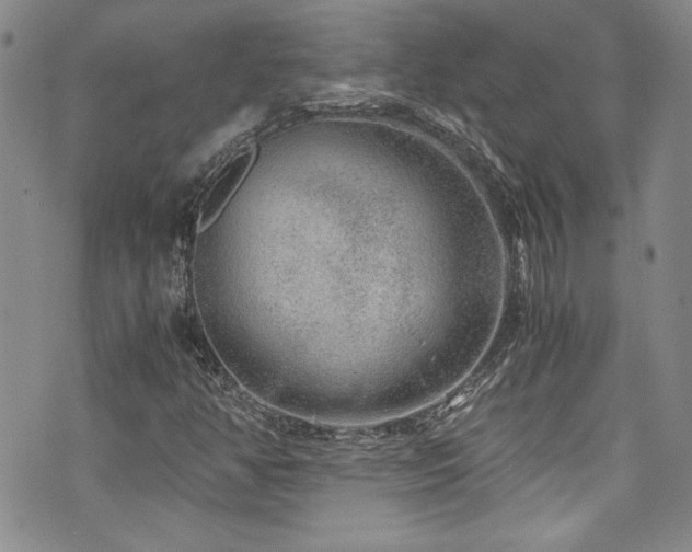 X0000076271350200609281155