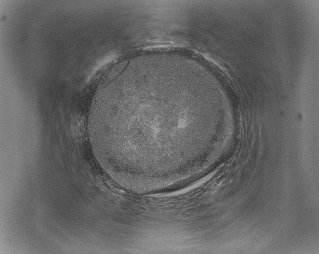 X0000076271351200609281155