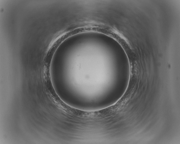 X0000076271352200609281155