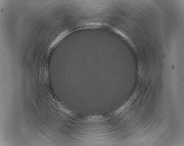 X0000076271354200609281155