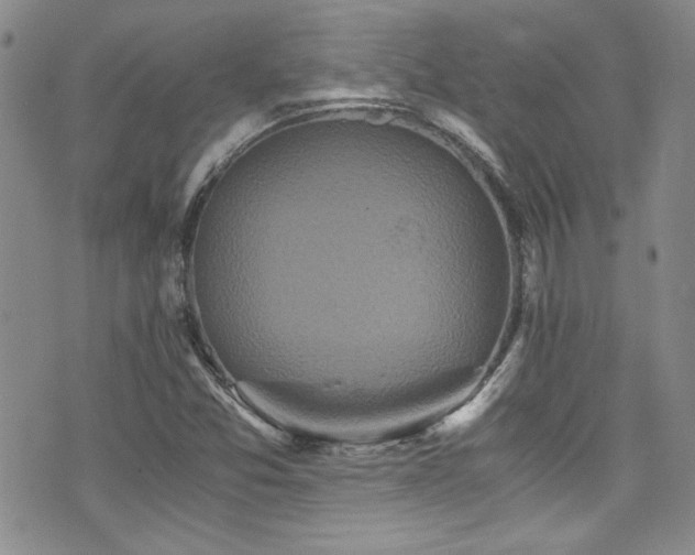 X0000076271357200609281155