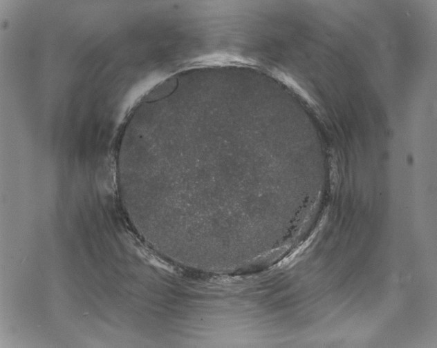 X0000076271358200609281155