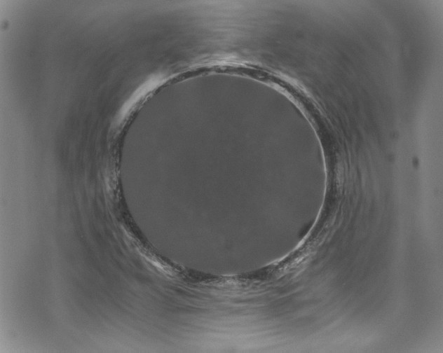 X0000076271359200609281155