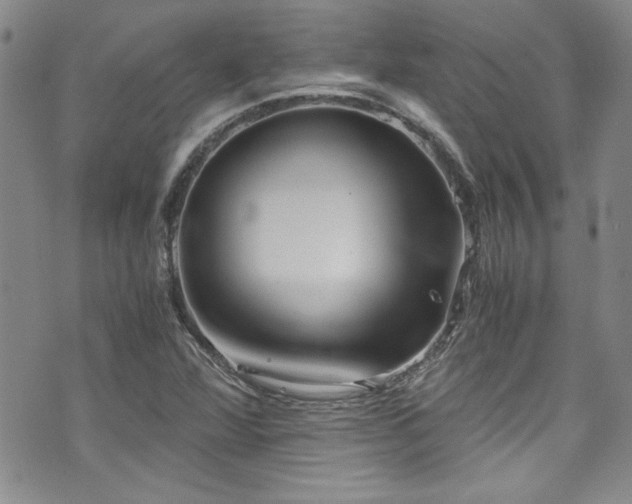 X0000076271360200609281155