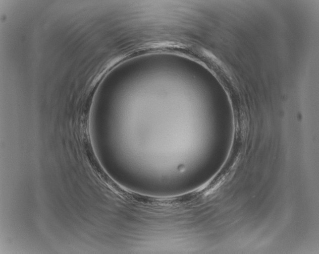 X0000076271361200609281155