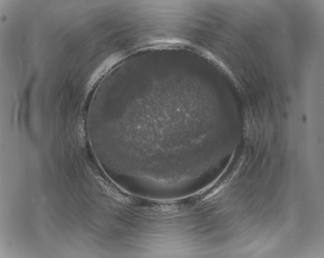 X0000076271362200609281155