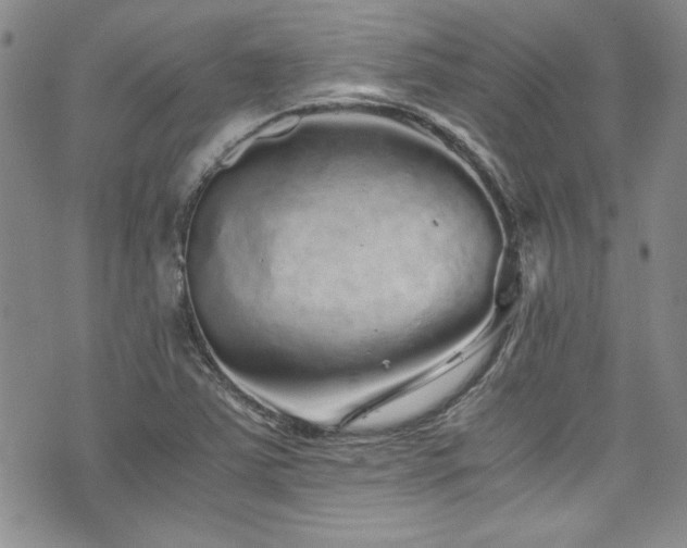 X0000076271363200609281155