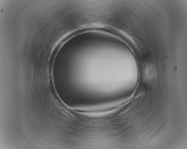 X0000076271364200609281155