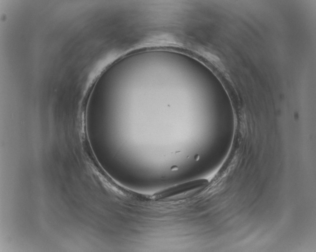 X0000076271366200609281155