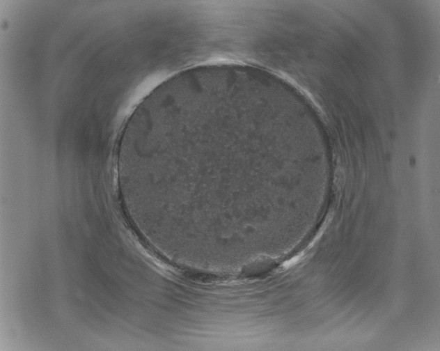 X0000076271367200609281155